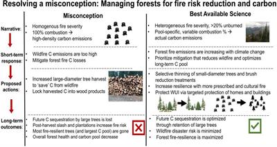 Forest Carbon Emission Sources Are Not Equal: Putting Fire, Harvest, and Fossil Fuel Emissions in Context